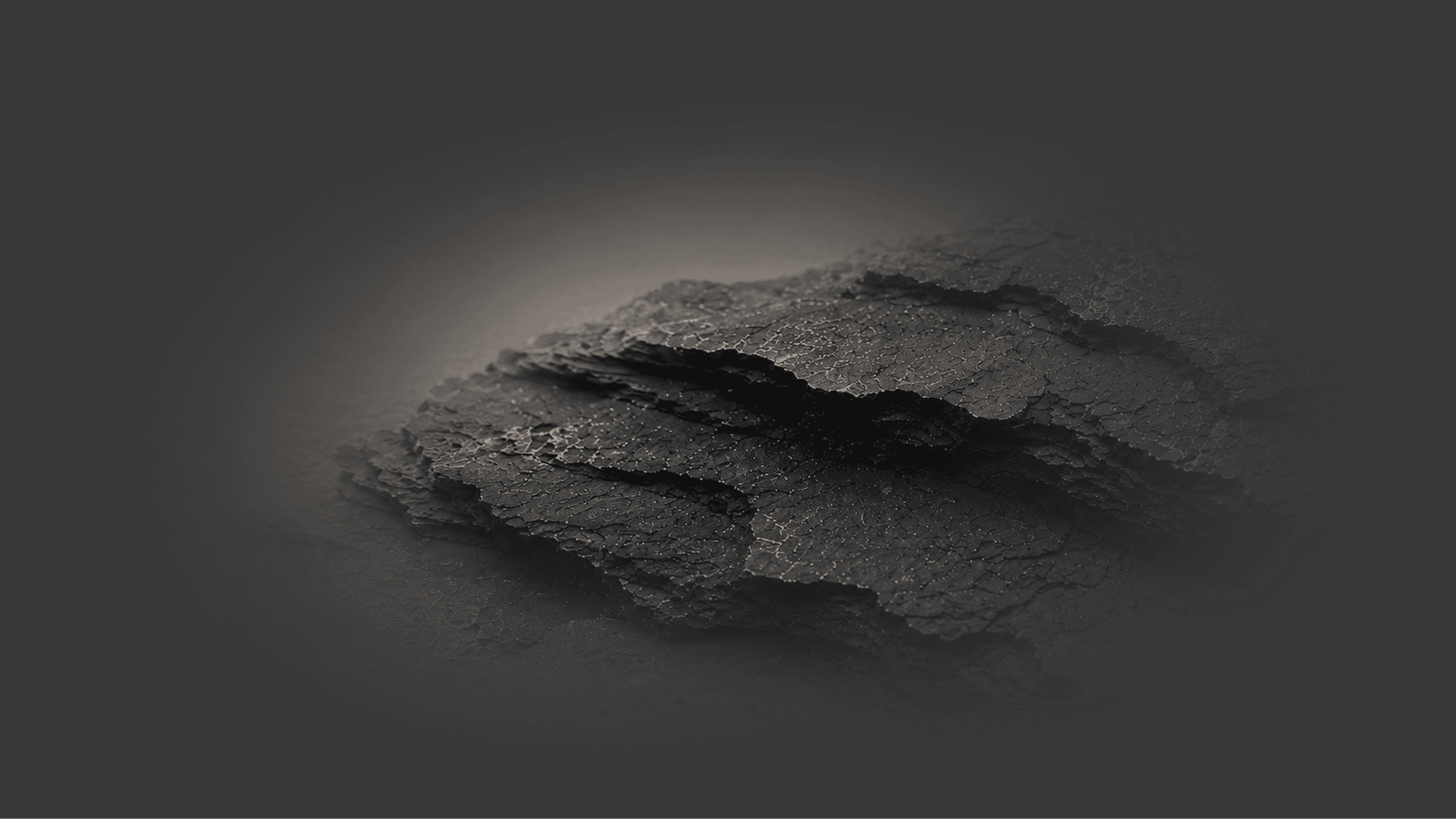 Shungite