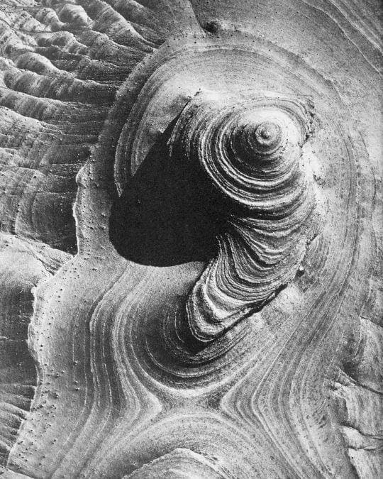 Сознательное присутствие